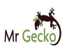 Mr Gecko