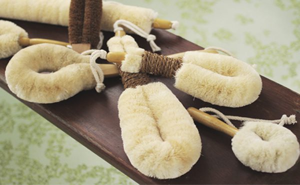 Eco Max Body Brushes