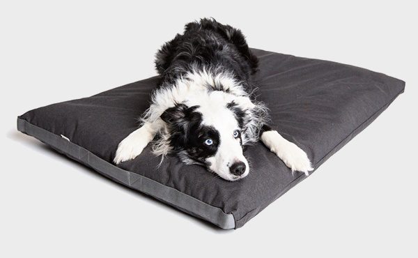 Cloud7 Siesta dog bed