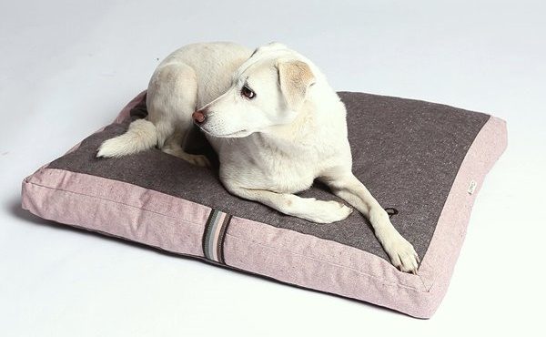 Cloud7 snooze dog bed