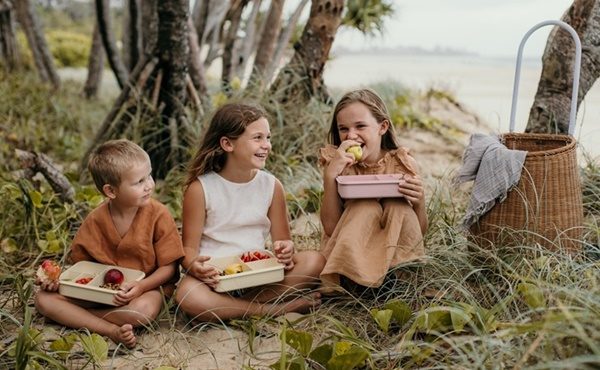 Biodegradable lunch boxes