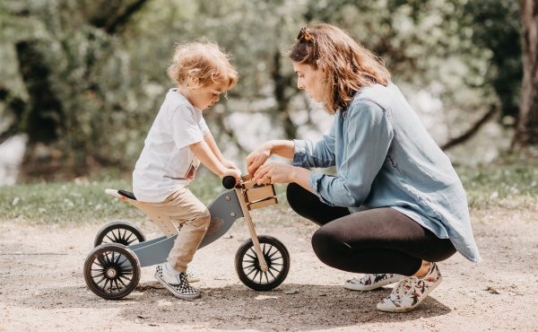 Trike voted hottest toy for Christmas