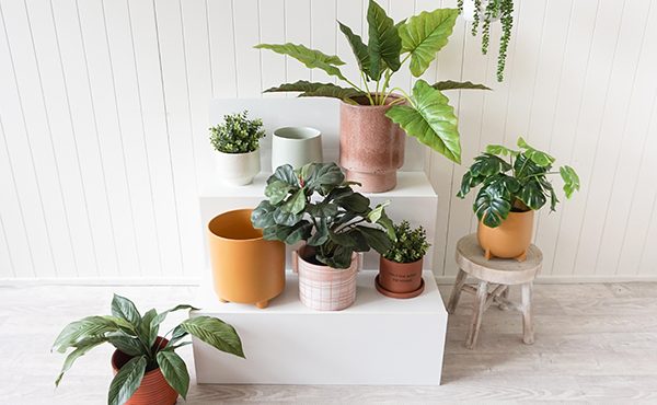 Trendy pots & planters